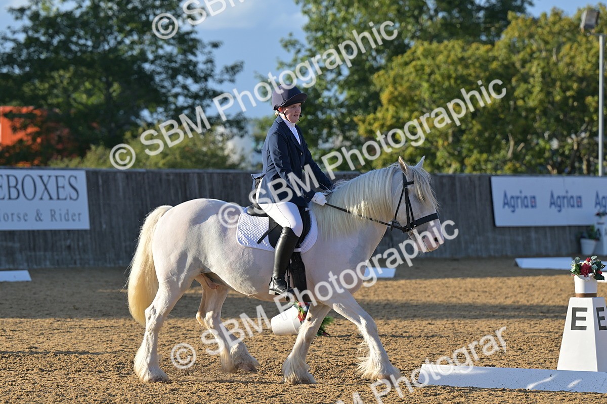SBM_13188 - D3 - Small Tour Championship Intro 3