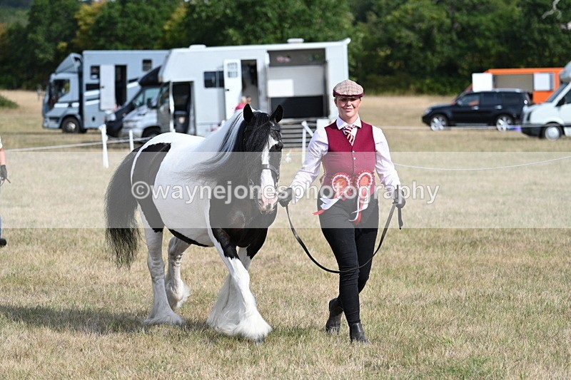 WJ7_8007 - In-hand Championship