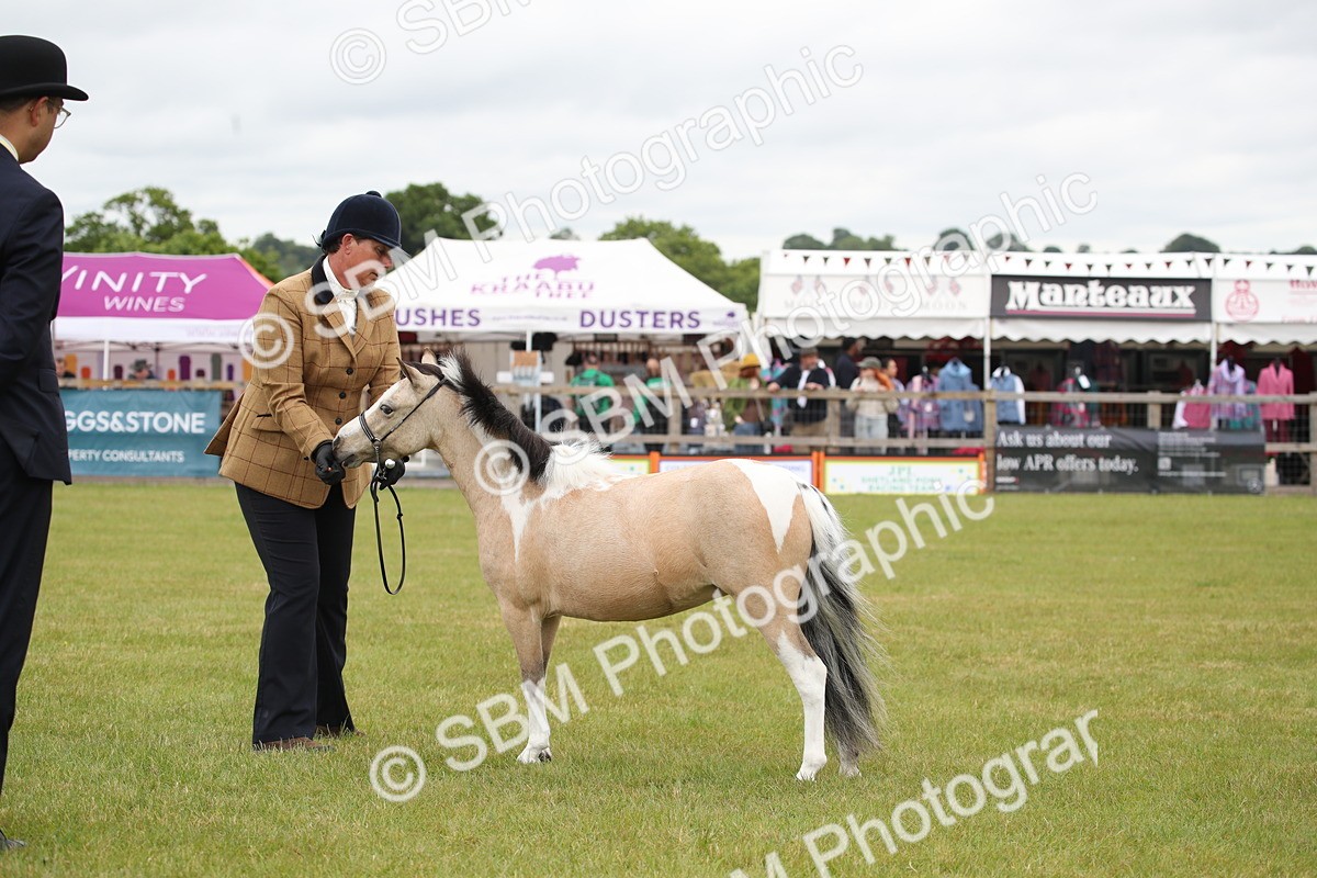 SBM_04001 - Class 23-25 - British Miniature Horse of the Year