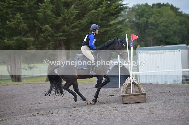 NGP_2201 - XC Time 11:20 to 11:36