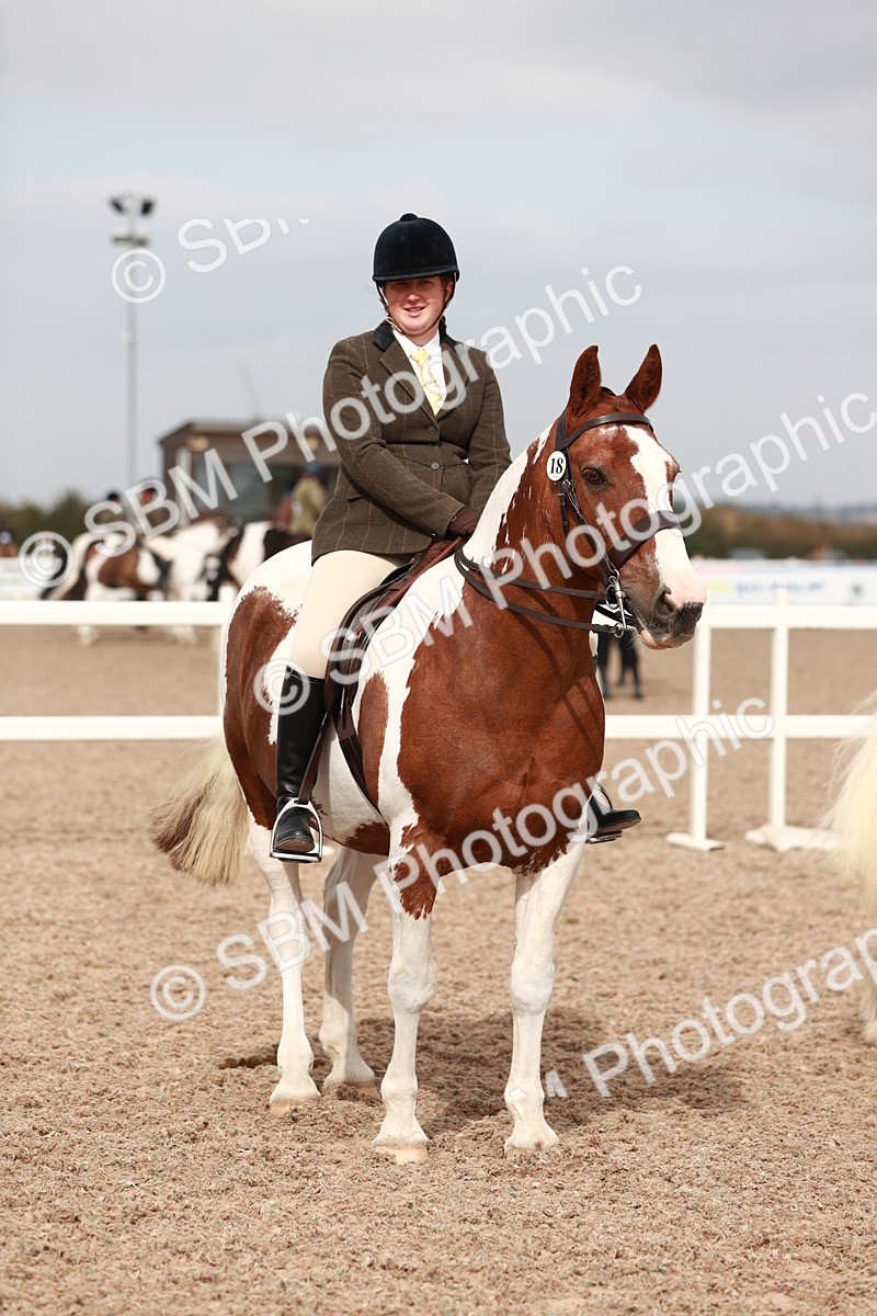 SBM_16773 - Class 214 Ridden Cob
