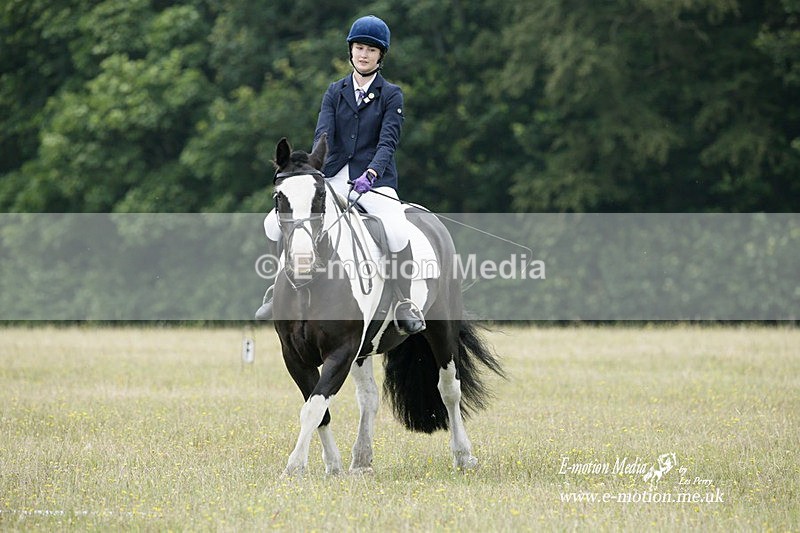 BVRC 030721 21 - Bourne Valley Riding Club Dressage 03/07/21