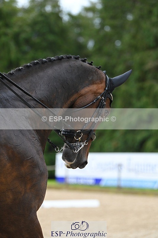 230813-155340-08275 - Cls 14 Medium Silver Start to 16.25 break