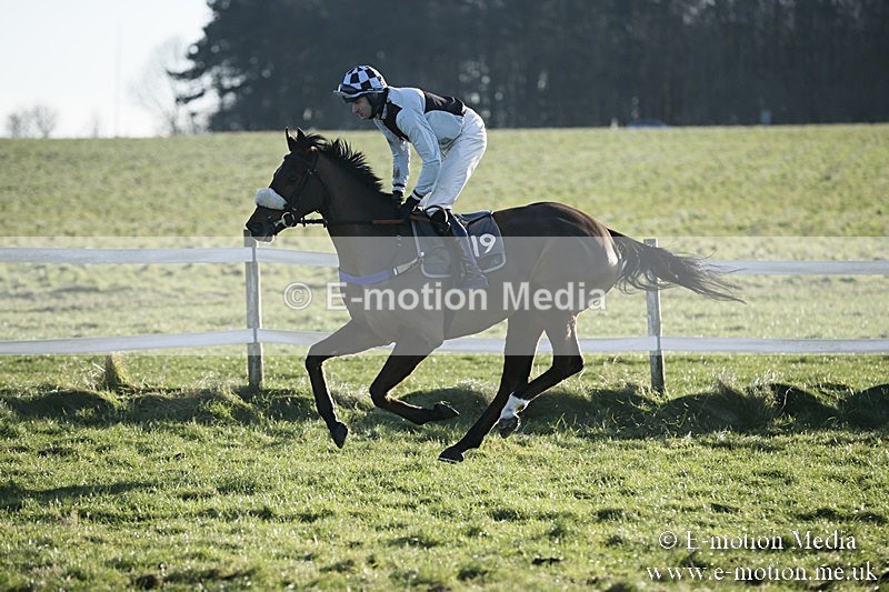 PtP 070118 -414 - Larkhill Racing Club Point to Point Larkhill 07/01/2018