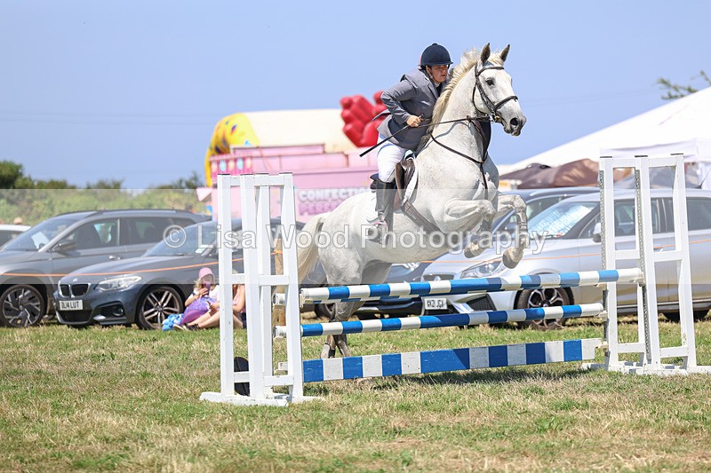 3E7A4364 - Class 10: Senior British Novice/90cm open