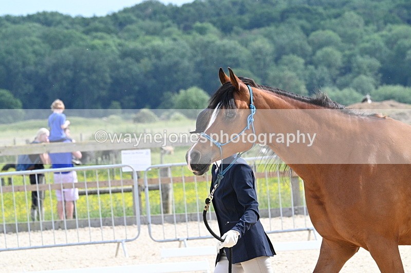 WJ7_8212 - Time 16:10 to 16:25