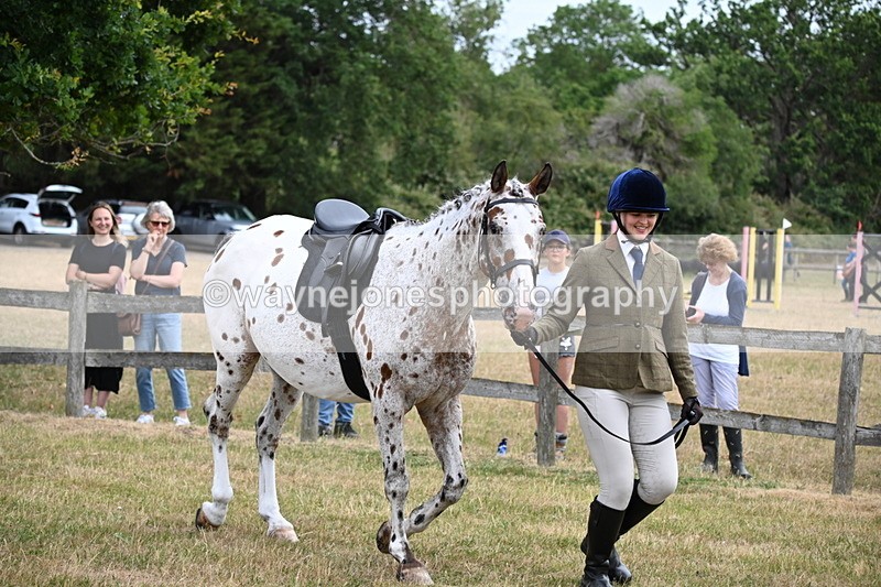 WJ6_3857 - Class 9 Tack & Turnout