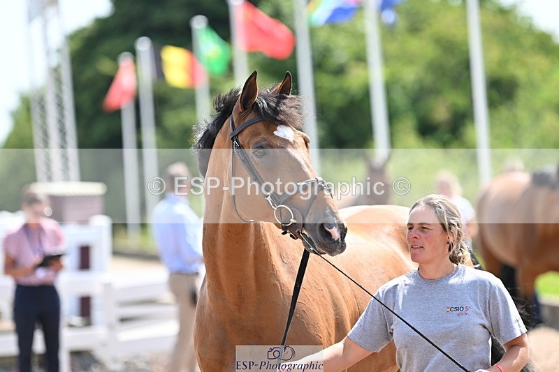 240717A-150334-02494 - Trot Up 3pm to 4pm