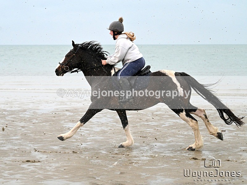 WJ7_9149 - Hayling Island Beach Shoot 22-09-24