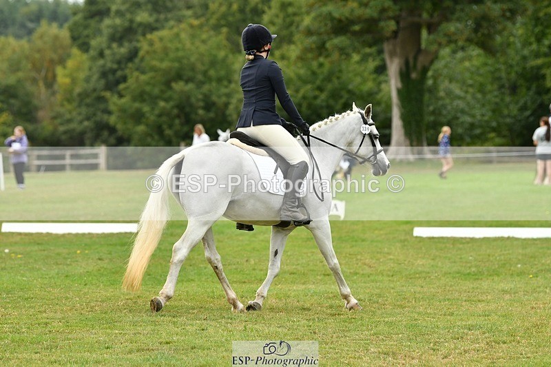 250820A-121812-05551 - 12 to 13.00