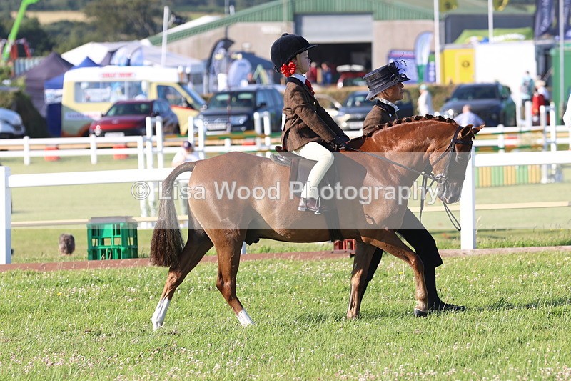 JPP_0669 - Class 16: Cornish Combination Leading Rein