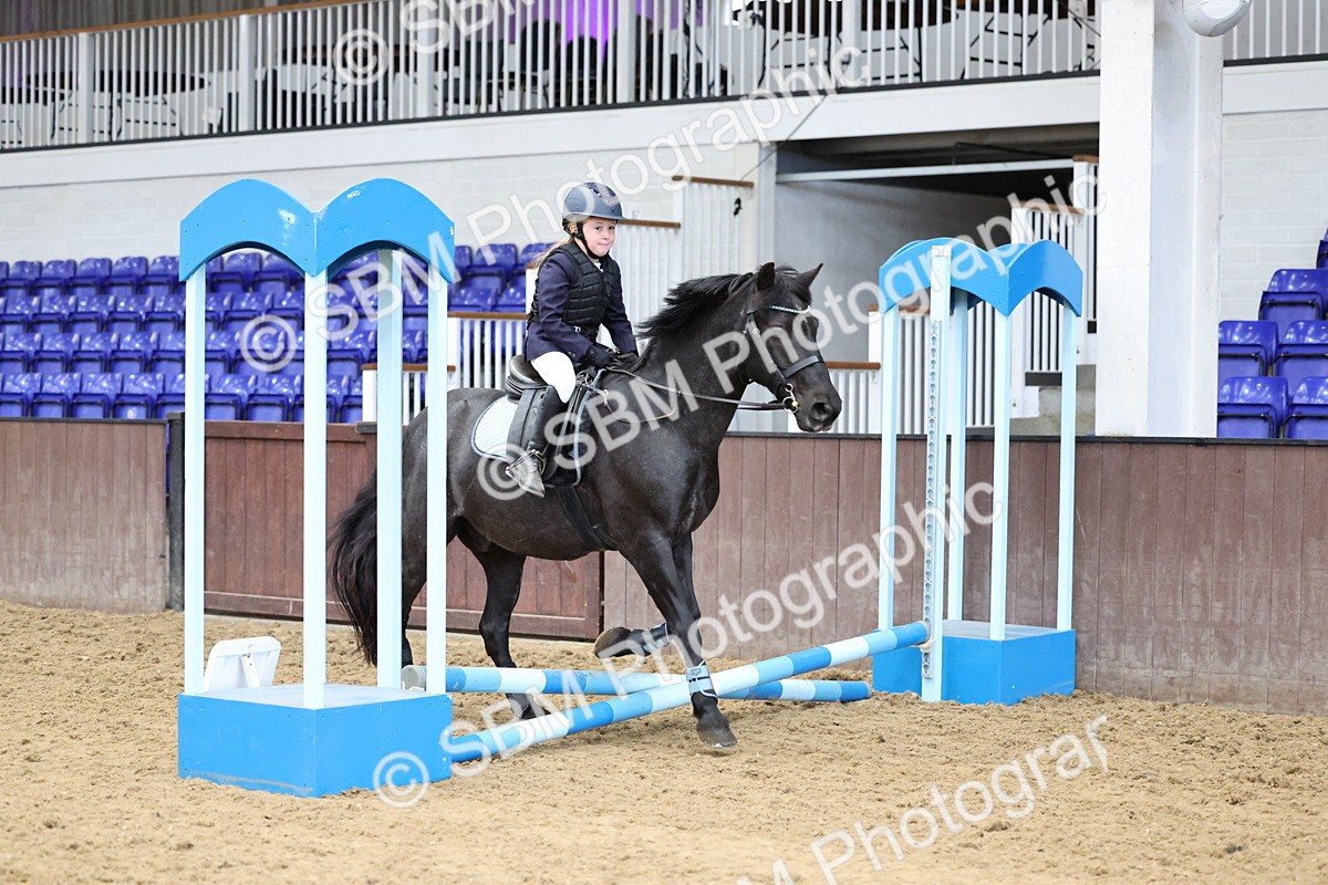 SBM_006891 - Class 1 - 40cm showjumping