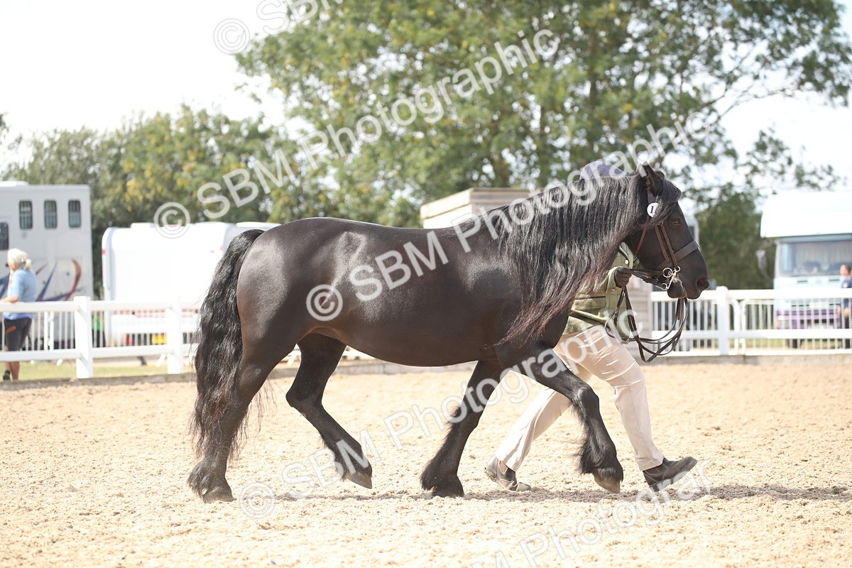 SBM_23081 - Class 606 - 2026 - Area - IH Pre Vet