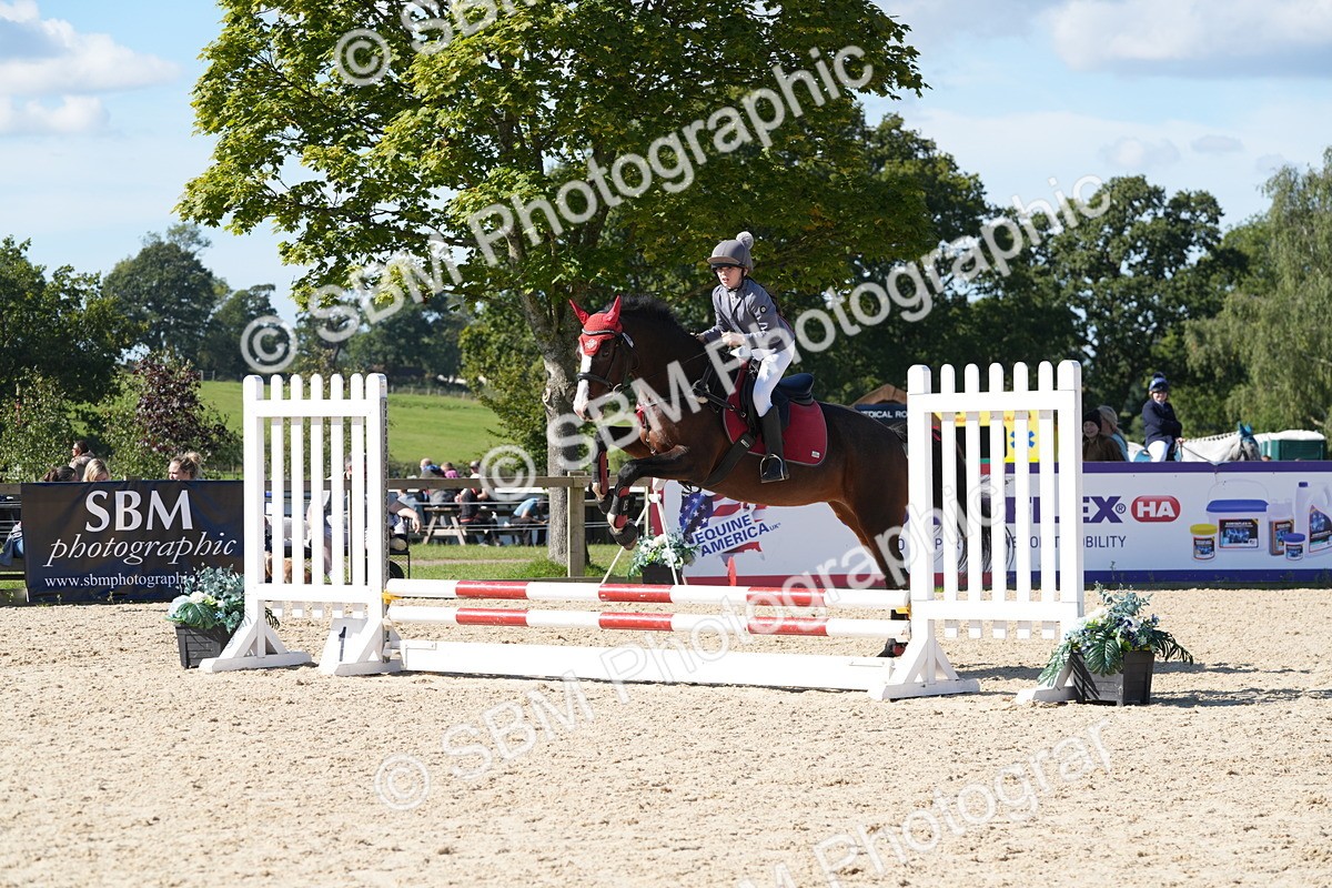 SBM_38725 - J21 - Junior Horse 60cm Championship