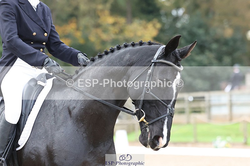 241024-093741-01119 - 128-Lottie.Turnell-TRICKLE