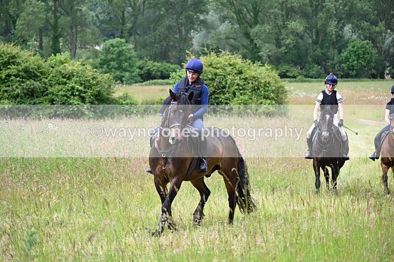 WJ6_7906 - Camera 1 Gallops
