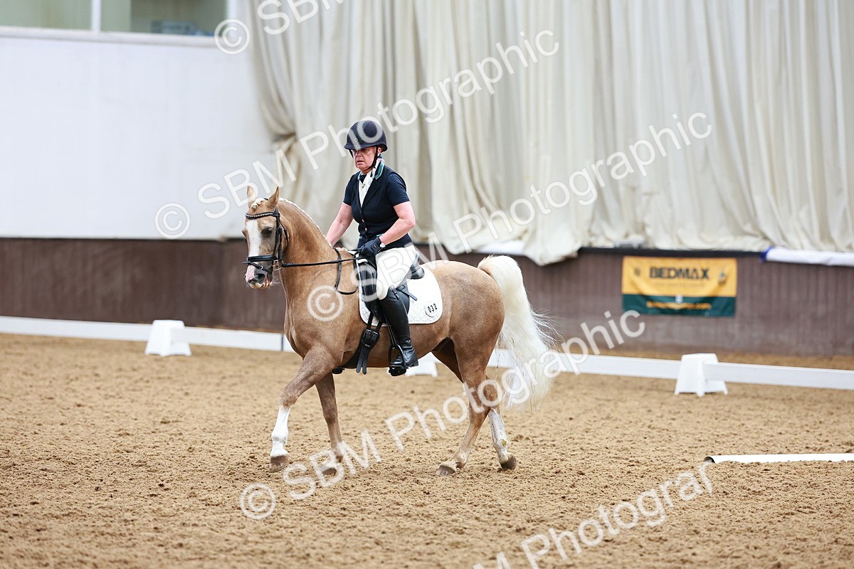SBM_001209 - Class 5-6 - Novice 1-Elem 1