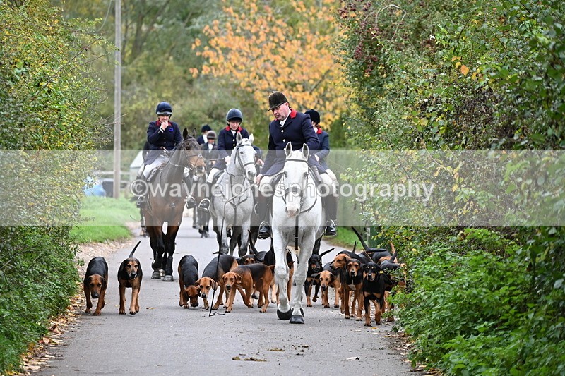 WJ6_8331 - Walk Home..