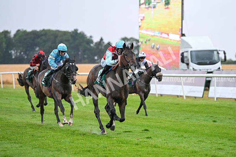 150725-Race 4-Harry Palmer-6974 - Race 4