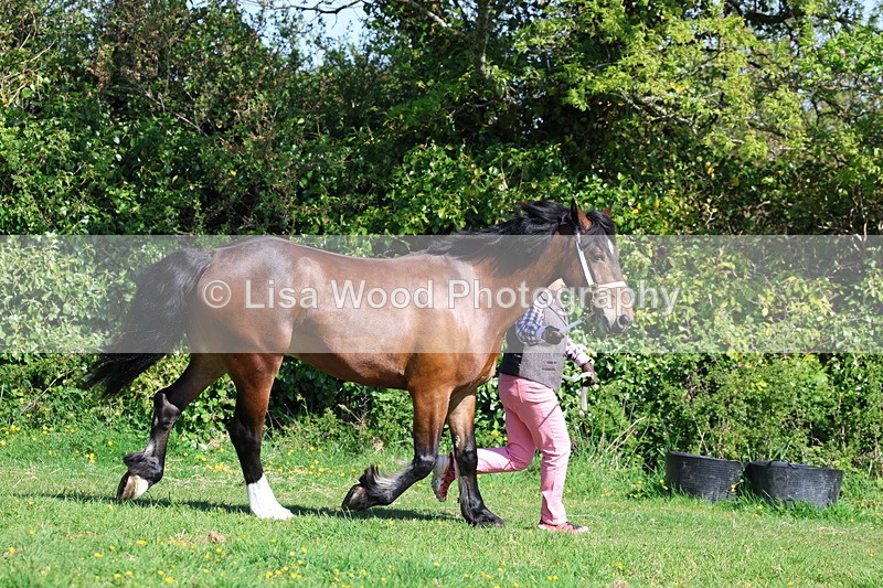 3E7A9443 - Class 16: Best Grass Kept