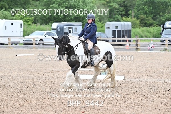 BPP_9442 - 45 L DENHOLM
