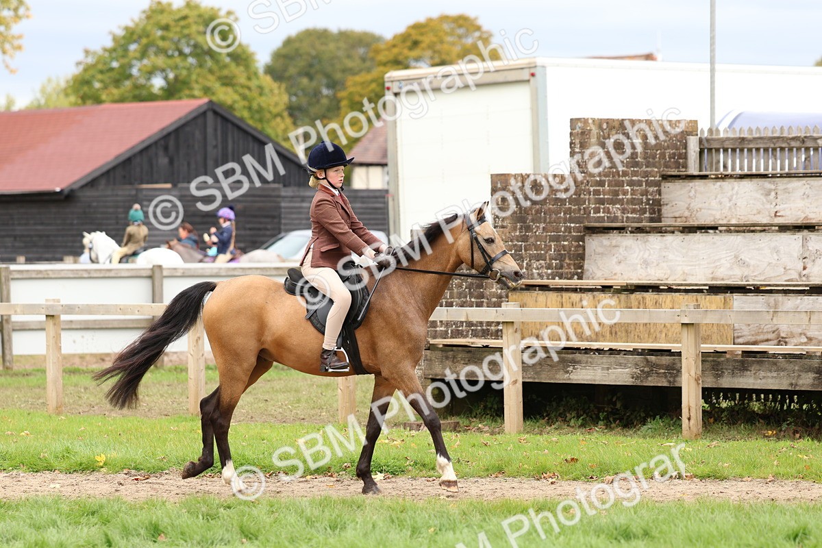 SBM_67355 - S61 - Mountain & Moorland Ridden