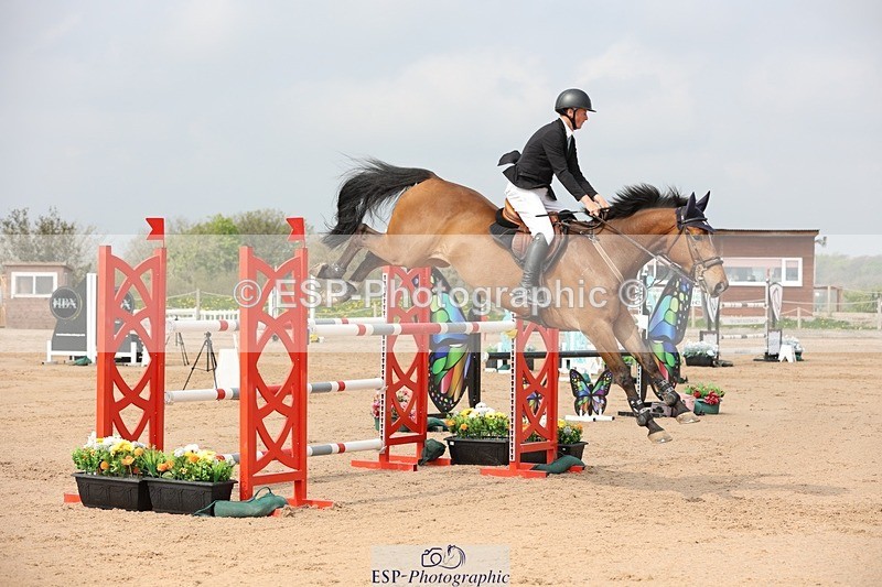 250424-105000-03251 - Cls 33 Young Horse 7yr old