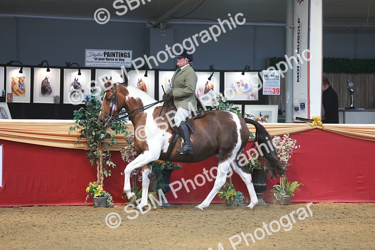SBM_12523 - Class 103 - HOYS Veteran Qualifier - Ridden Pre Vet
