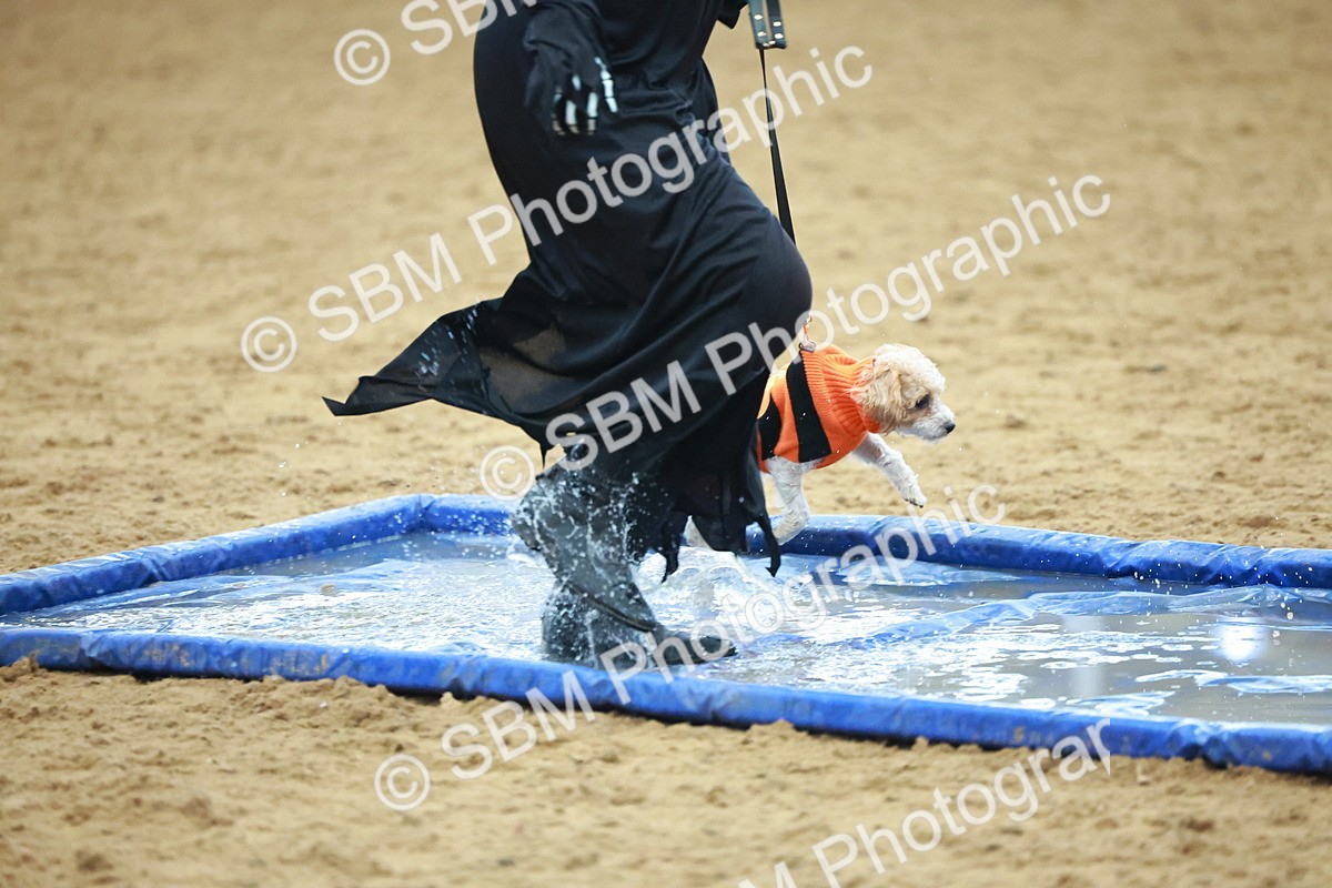 SBM_001768 - Class 3 - Horse & Hound (60cm)