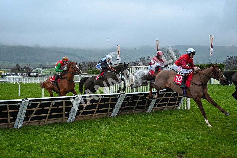 131224-Race 7-Long Draw-0177 - Race 7