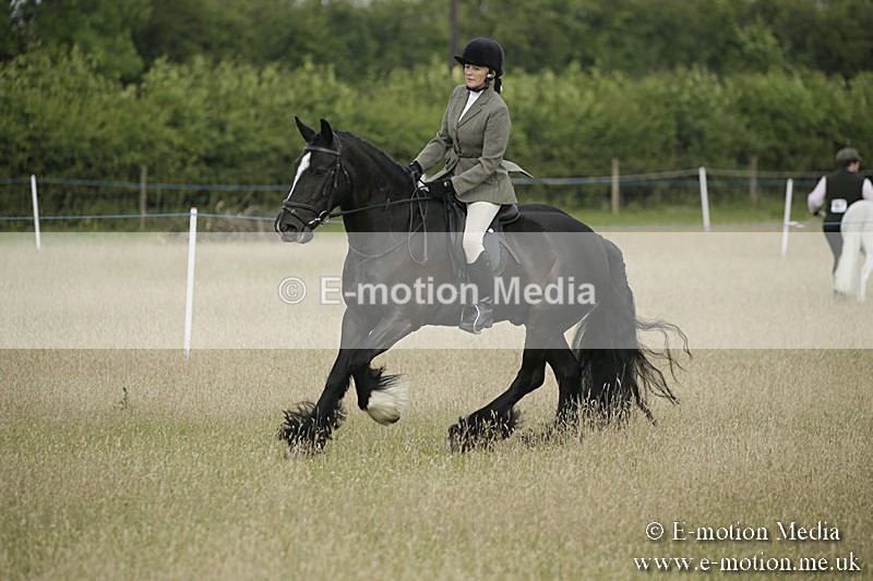 B230619-0175 - Bourne Valley Riding Club Summer Show 23/06/19