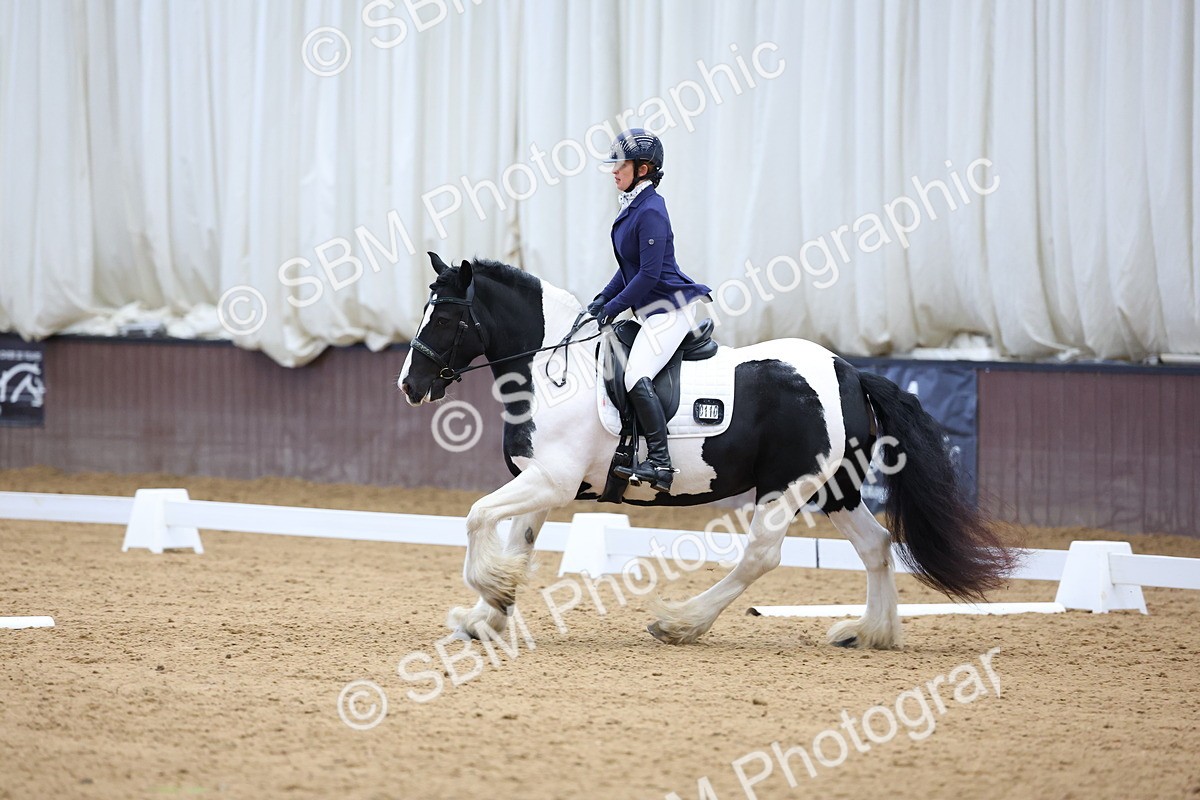 SBM_002269 - Novice 2