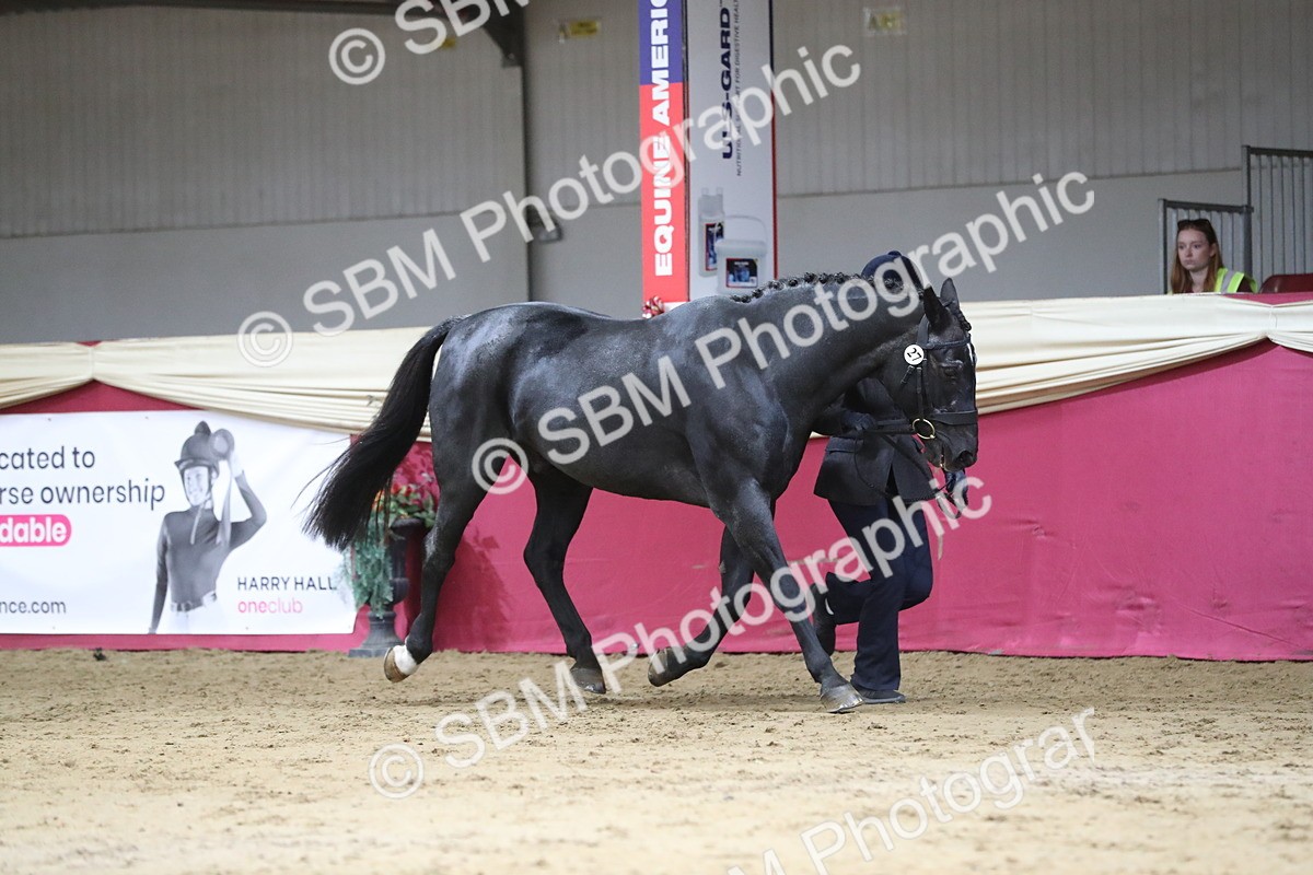 SBM_04352 - Class 7R Regional - IH Diamond