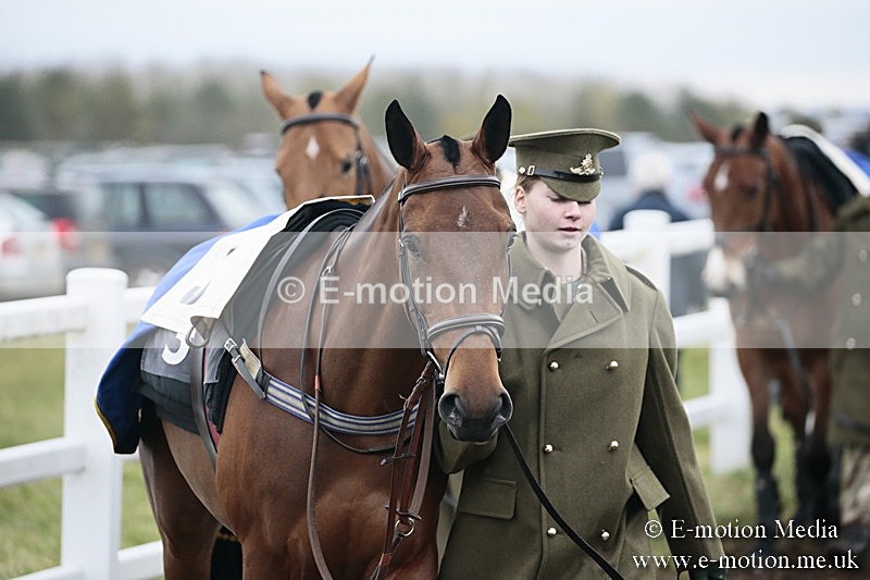 PtP 180218 52 - Combined Services Point-to-Point Larkhill 18/02/18