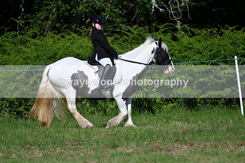 WJ7_0666 - Class 8 First Rally Pony
