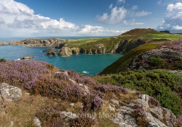 P170 - Pembrokeshire p/c catalogue