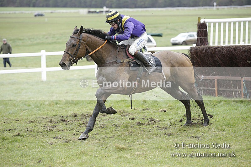 PtP 150320 0244 - New Forest Point-to-Point Larkhill 15/03/20
