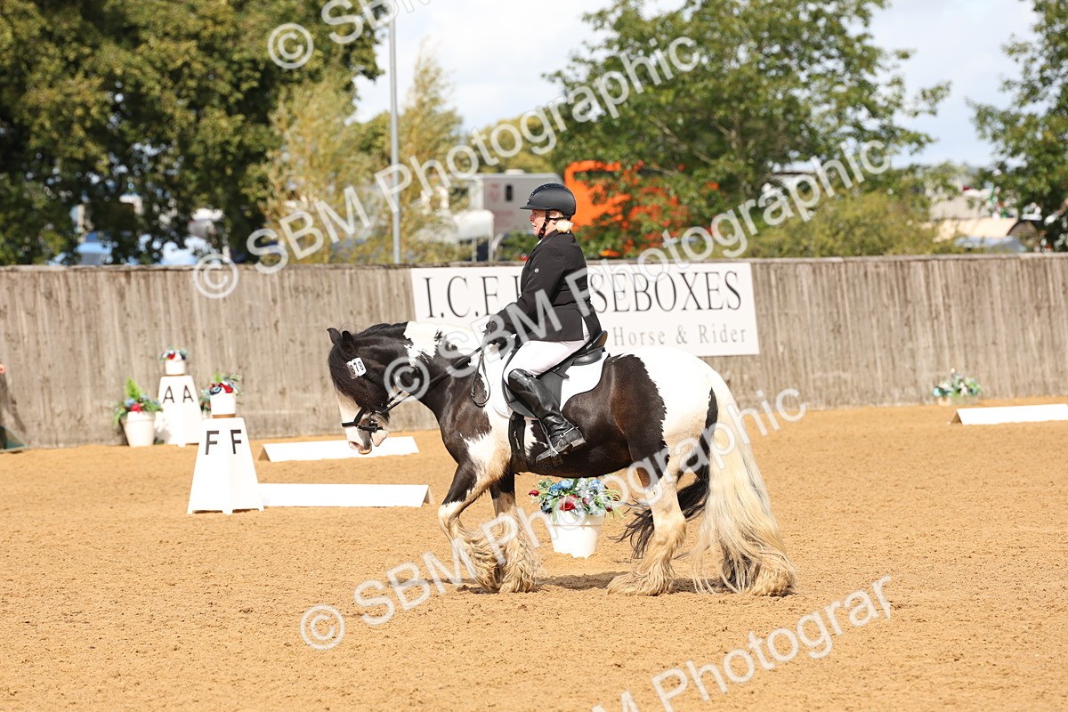 SBM_40691 - D6 - Small Tour Championship Intro 4