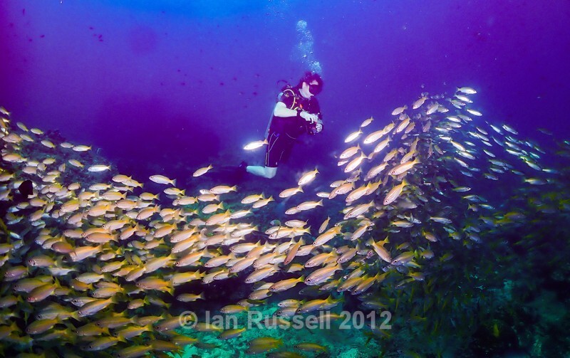 Thailand - Latest Images