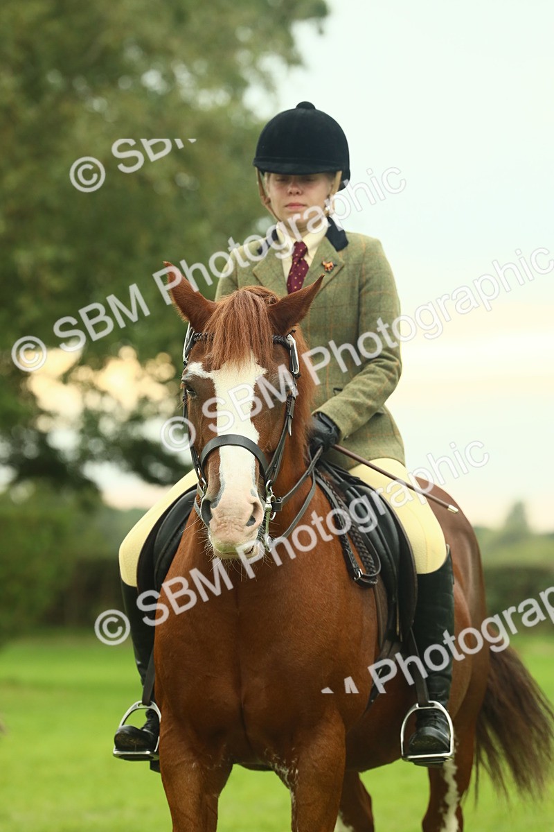 SBM_72248 - S60 - Mountain & Moorland Ridden Large Breeds
