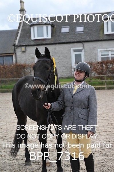 BPP_7316 - RING 1  (RIDDEN HORSES / IN HAND / VETERAN ETC)
