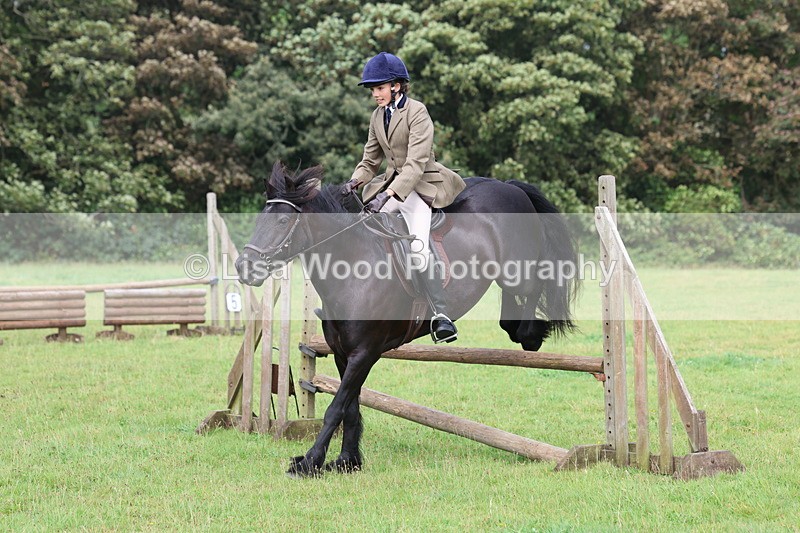 3E7A5813 - Class 26 and 27: 70cm Working Hunter