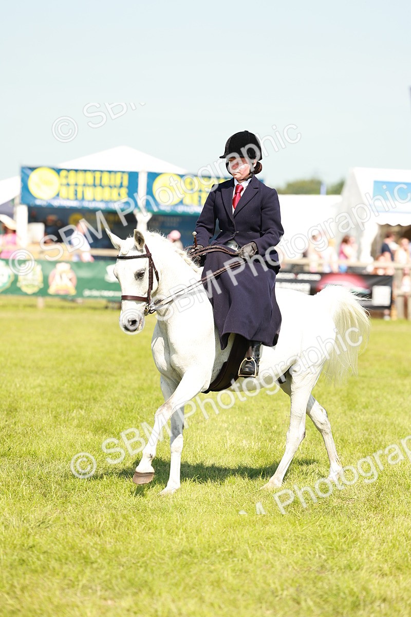 SBM_13334 - Class 70-71 - Side Saddle