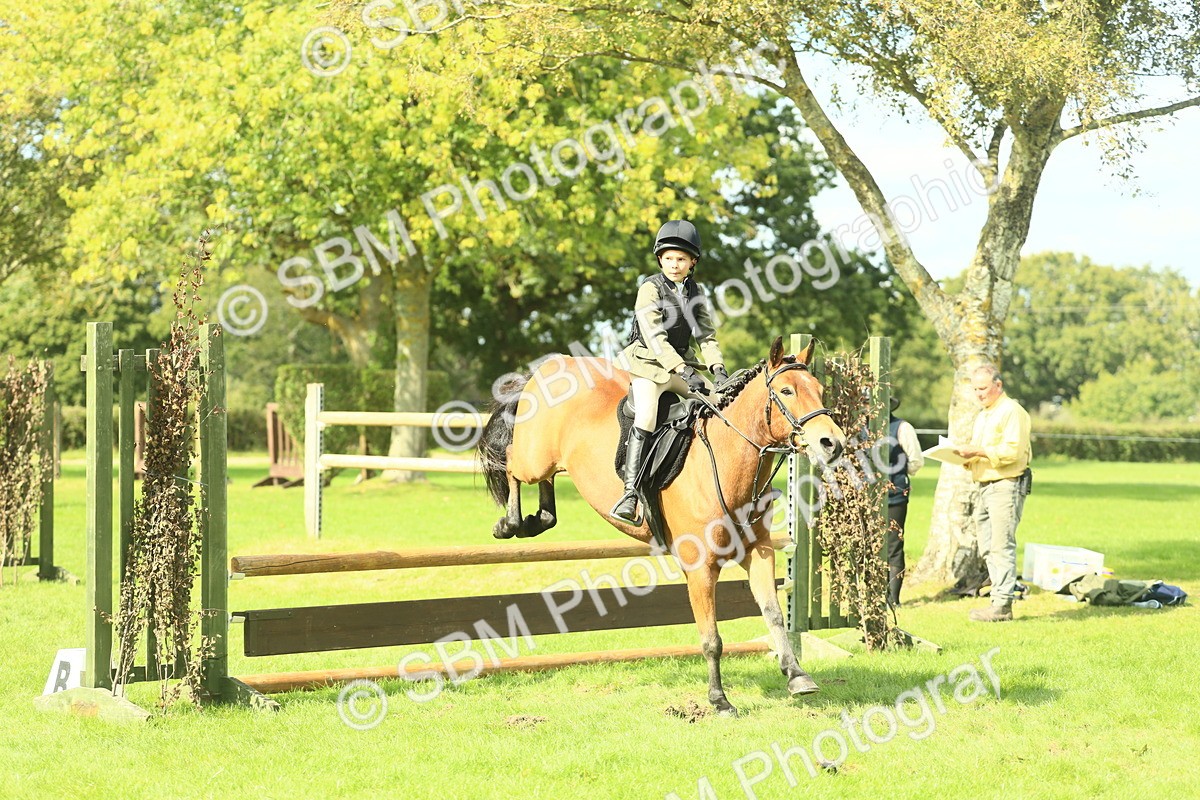 SBM_44620 - S31 - Working Hunter Pony