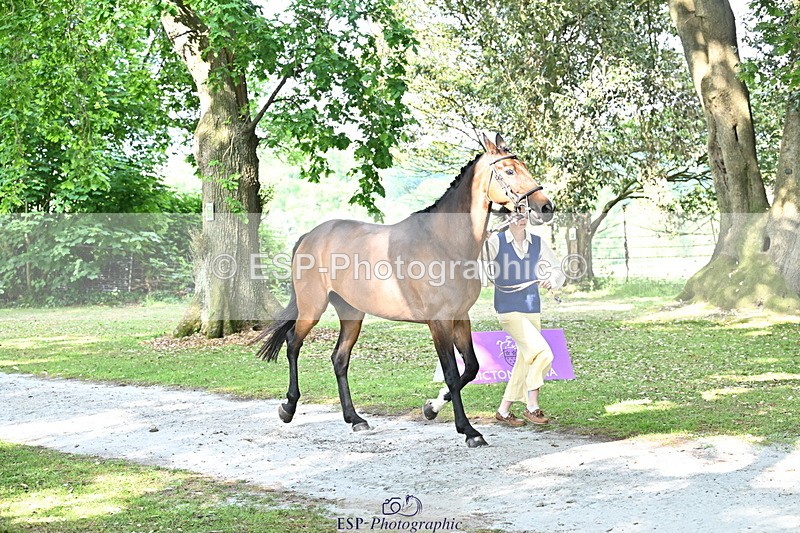 250521A-165729-01430 - C-274-Bizzy.Loffet-LONGBROOK.CHILLI.FLOWER