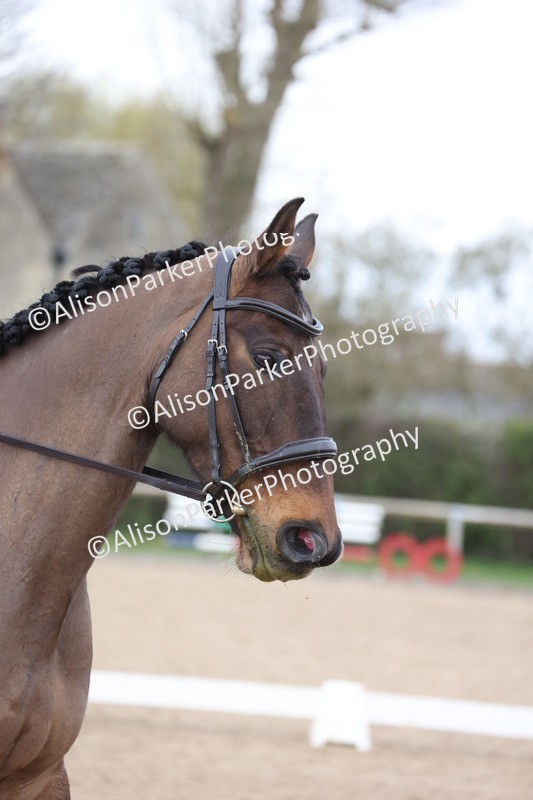 20260301-0326 - Class 3 - Novice 4