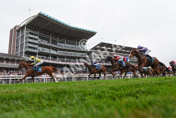 yr22072022r3-56 - Race 3 6.20pm Tomahawk Stakes