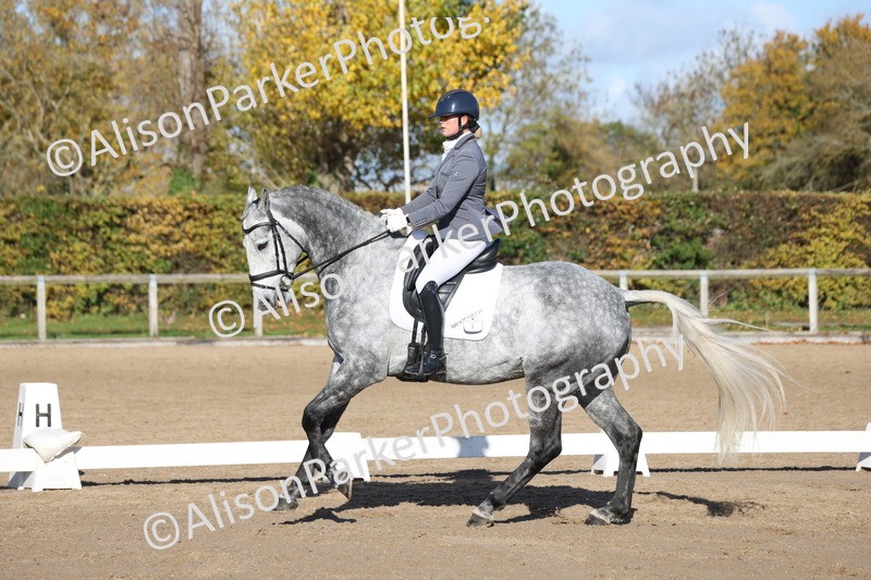 20251102-0816 - Class 5 - Elementary 5