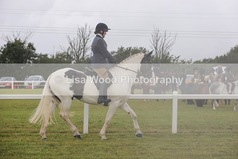 1X9A2993 - Class 26: Ridden Plaited Coloured Pony