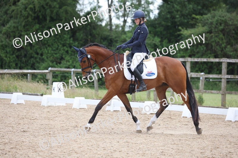 20250614-1431 - Class 7 - Elementary 2